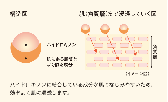 クリアホワイト スキンケアシリーズ | 商品情報 | シャルレセルフィア